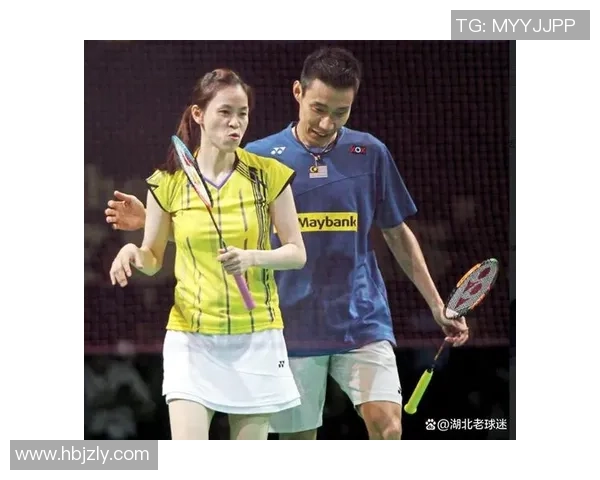 武汉羽毛球队与北京羽毛球队技术对抗赛后分析与总结